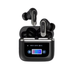 Premium Earbuds